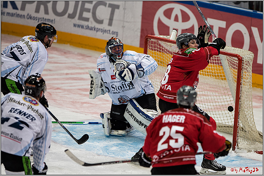 Koelner Haie - Straubing Tigers, 03.10.2016